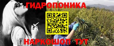 бошки Сланцы