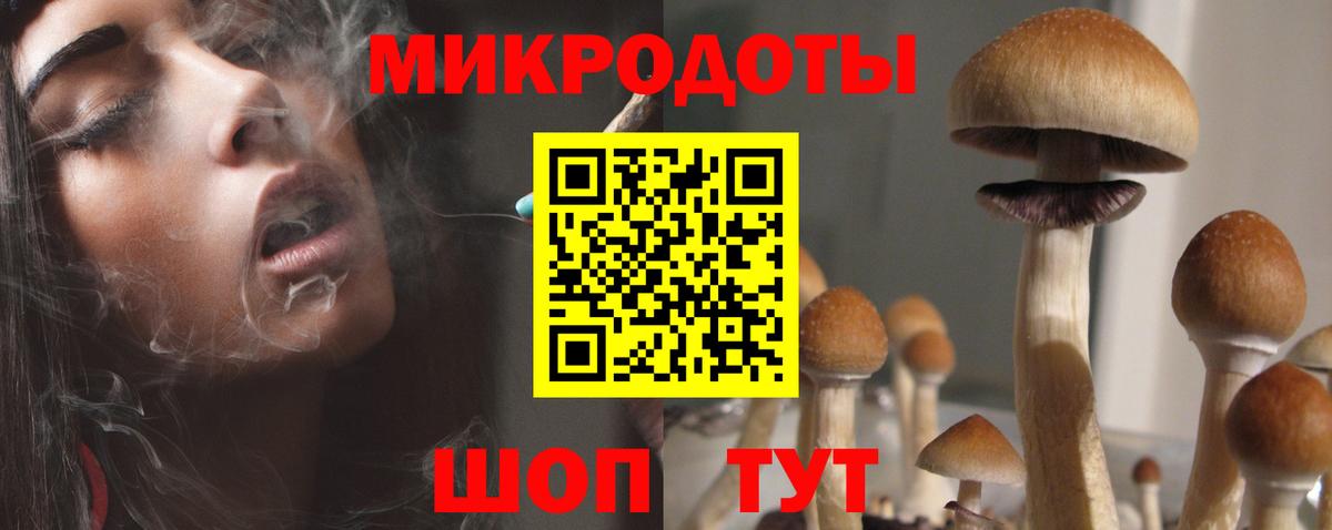 Нефтекумск  Псилоцибиновые грибы ЛСД  Вход с VPN 